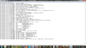 Logs of installation BeamNG.png