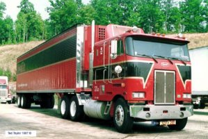 you-can-vote-for-this-peterbilt-362-photo_8e69e.jpg