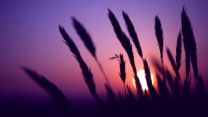 dusk-109509.jpg