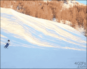 Skiing-double-fail.gif