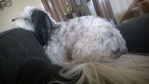 WP_20140401_003.jpg