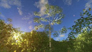 screenshot_00310.jpg