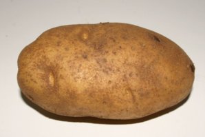 1030071_com_potato.jpg