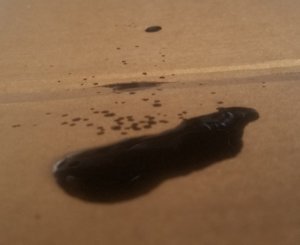 20170115_112252.jpg