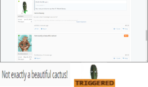 cactusbuttriggered.png