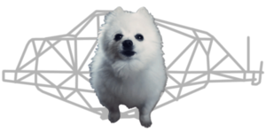 gabethedog.png