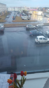 20170125_1009371.jpg
