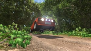 rally.jpg