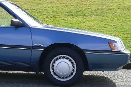 wedgeonwheels2.jpg
