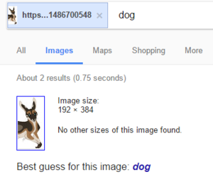 google.png