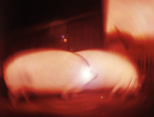 IMG_0043.png