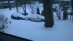 Snow2.jpg