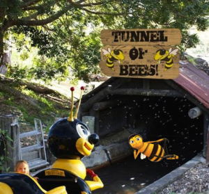 fbees.png
