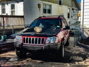 IMG_5836.jpg