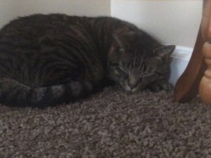 IMG_0327.jpg