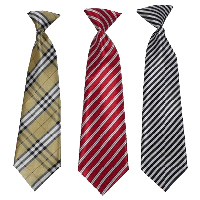 5-tie-png-image-thumb.png