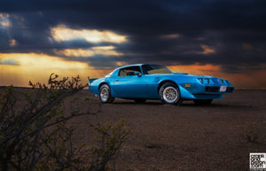 79-pontiac-firebird-trans-am.jpg