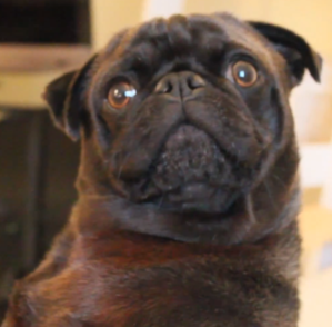 Edgar_1.png