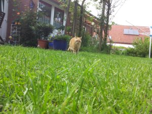 20140531_175513.jpg