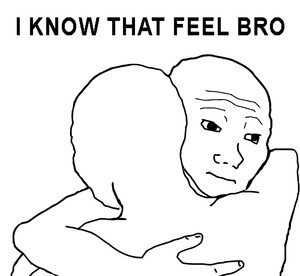 Sad-i-know-that-feel-bro_3969556_lrg.jpg