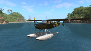 svnm_float.png