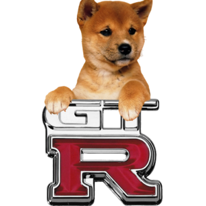GTRDOG.png