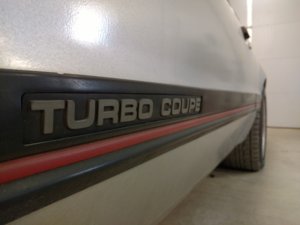 IMG_20170304_165547986.jpg