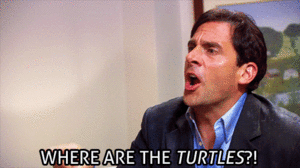 turtles.gif