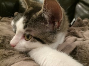 IMG_5350.jpg