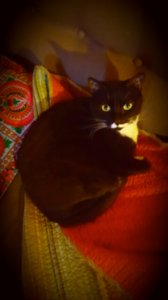 20170117_174630.jpg