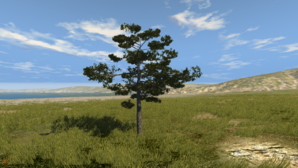 screenshot_00013.png
