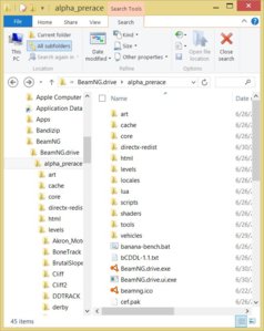 BeamNG Directory.JPG