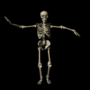 skeleton_dancing_hg_blk.gif