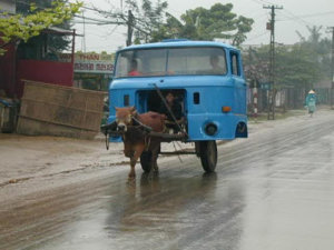 weird-cars-6.jpg