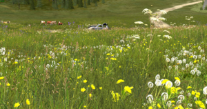 screenshot_00906.png