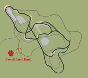 BassetHoundBend.jpg