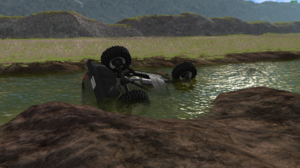 screenshot_00455.png