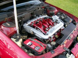 1994 SHO.jpg