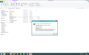 BeamNG error 3.png