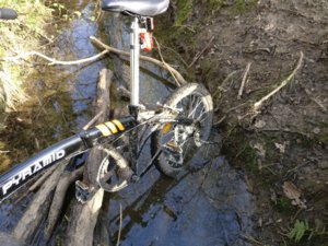 IMG_20170315_151155.jpg