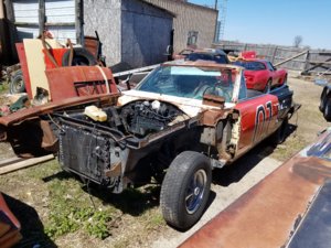 20170422_123252.jpg