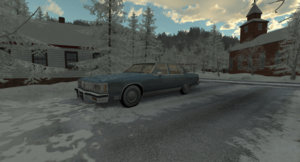 Rallysnow3.jpg