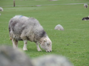 DSCN0107.jpg