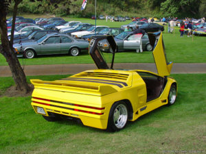 896269.jpg