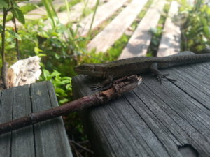 20140727_144249.jpg