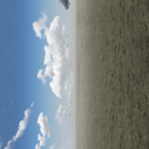 skybox_11.png