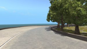 Cagpture.jpg