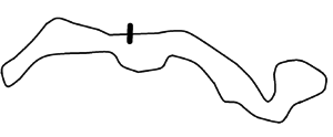 Sanstitre.png