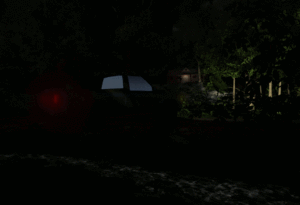 SwampShack.gif