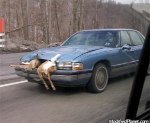 Car20Fail20Part20220-2015.jpg